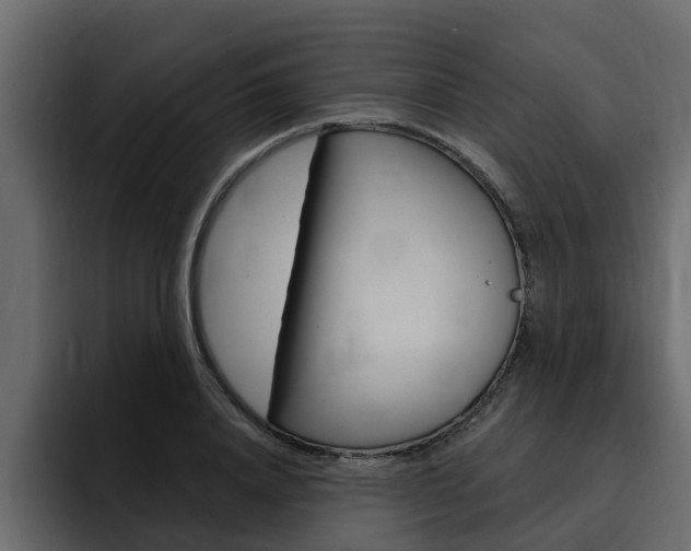 X0000095550840200712140934