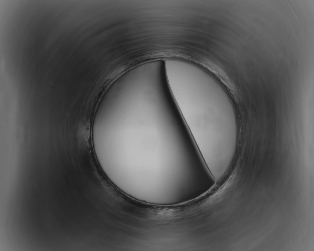 X0000095550841200712140934