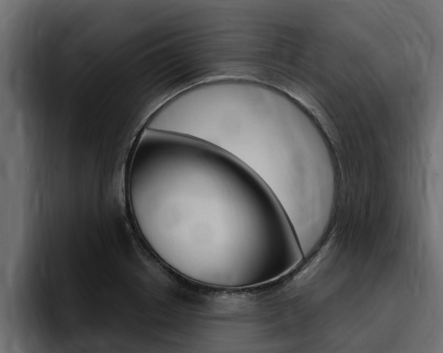 X0000095550842200712140934