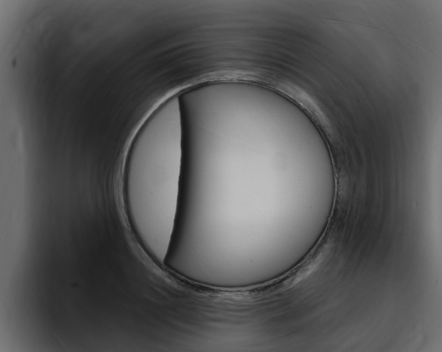 X0000095550844200712140934