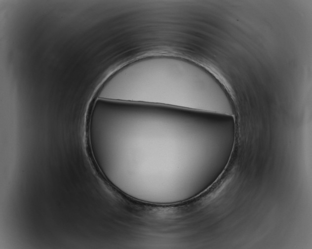 X0000095550845200712140934