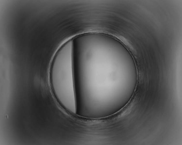 X0000095550846200712140934