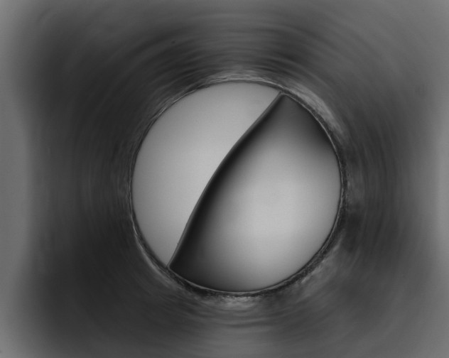 X0000095550849200712140934