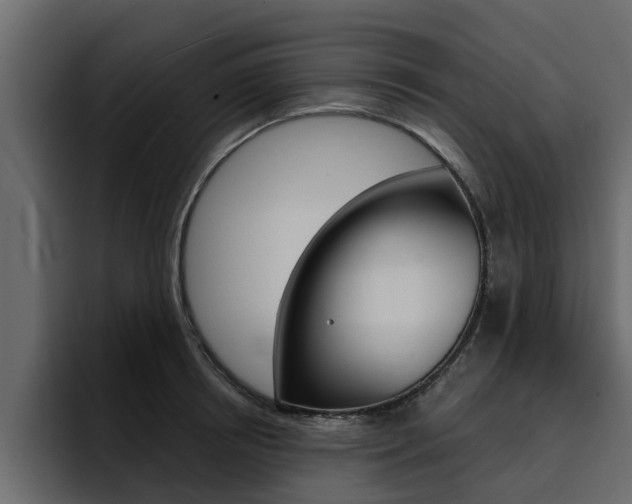 X0000095550850200712140934