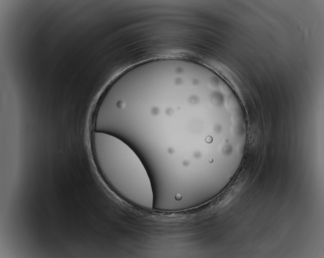 X0000095550851200712140934