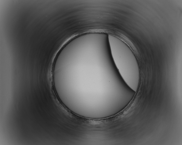 X0000095550852200712140934