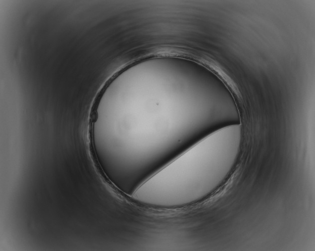 X0000095550853200712140934