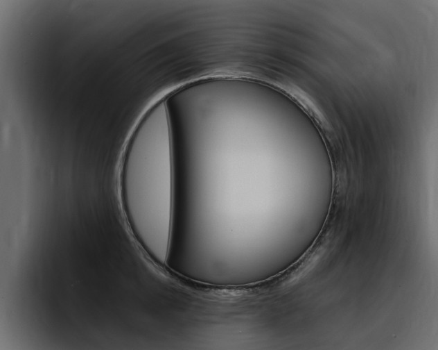 X0000095550854200712140934