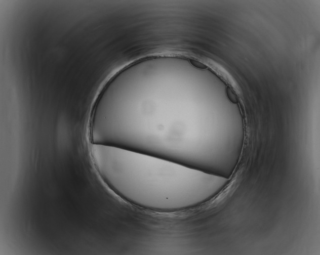 X0000095550855200712140934