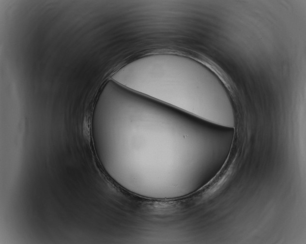 X0000095550857200712140934