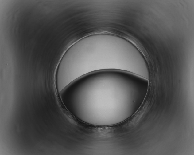 X0000095550858200712140934