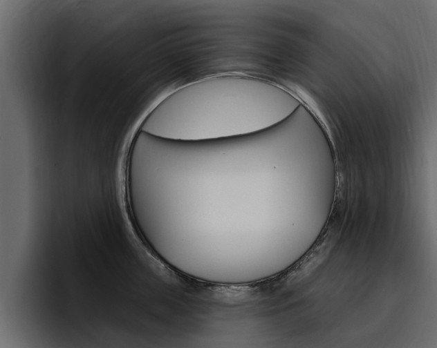 X0000095550859200712140934