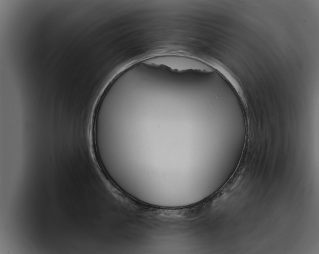 X0000095550861200712140934