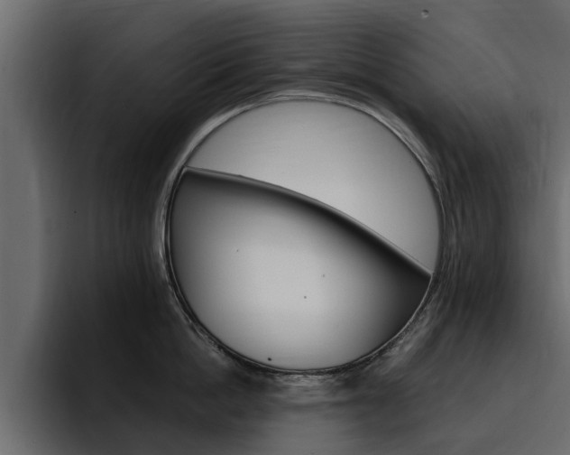X0000095550862200712140934