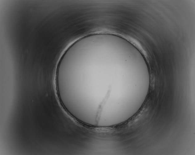 X0000095550863200712140934