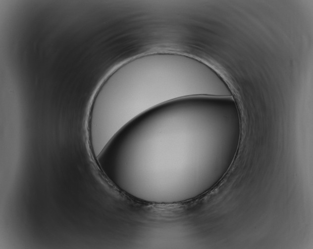 X0000095550864200712140934