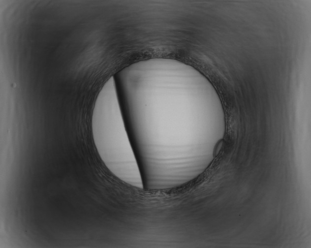 X0000095550866200712140933