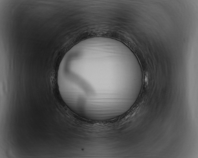 X0000095550867200712140933