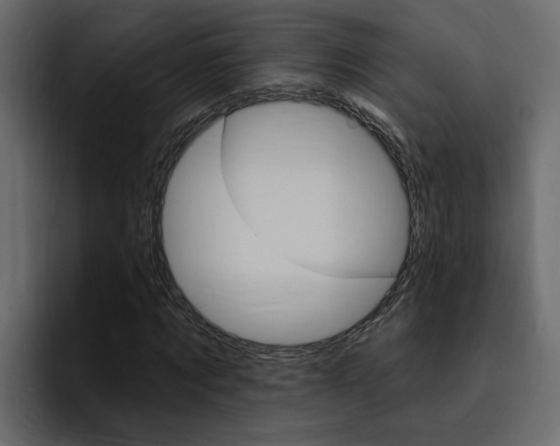 X0000095550869200712140933