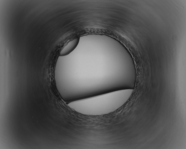 X0000095550870200712140933