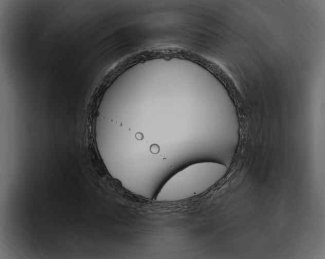 X0000095550871200712140933