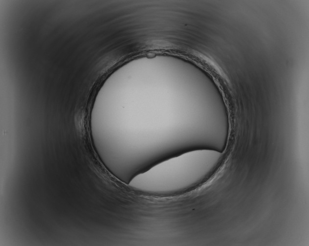 X0000095550873200712140933