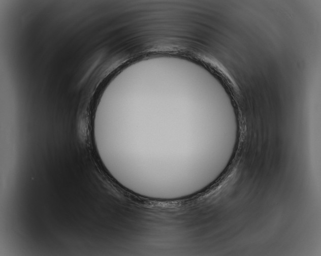 X0000095550874200712140933