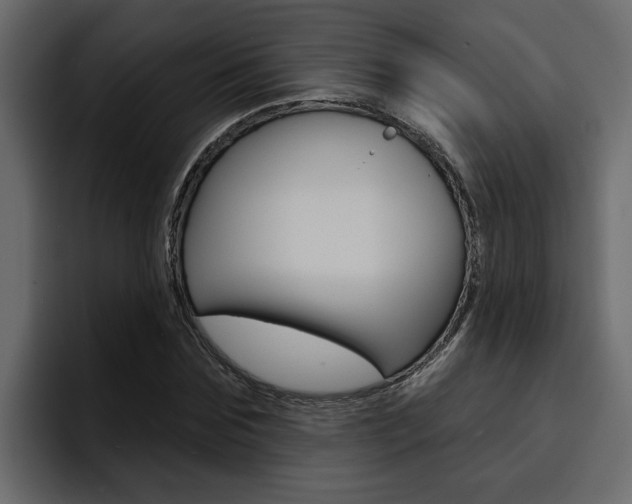 X0000095550875200712140933