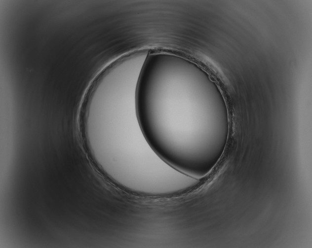 X0000095550876200712140933