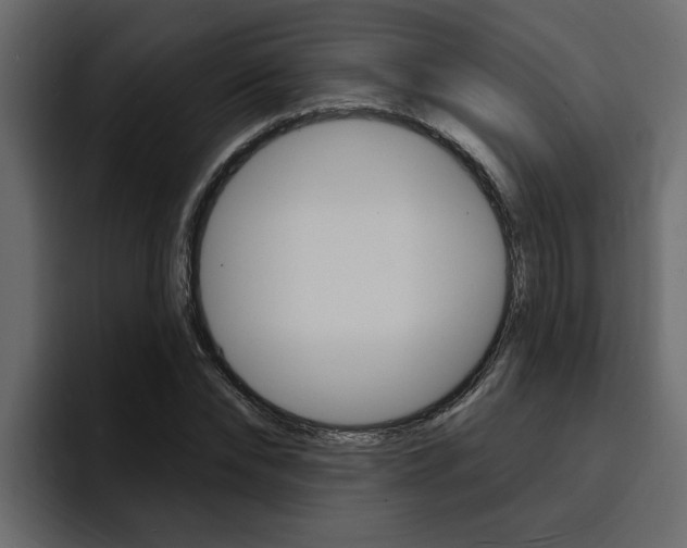 X0000095550878200712140933