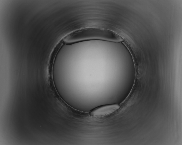 X0000095550880200712140933