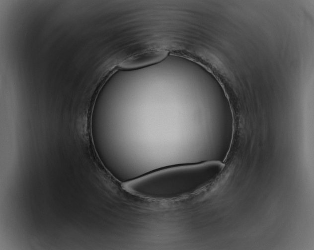 X0000095550881200712140933