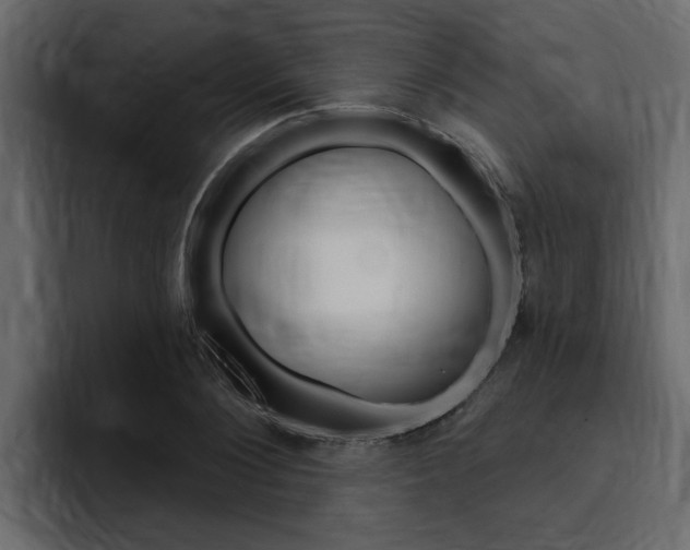 X0000095550884200712140933