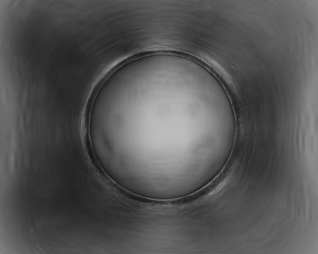X0000095550885200712140933
