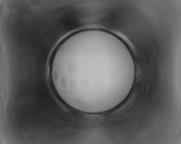 X0000095550886200712140933