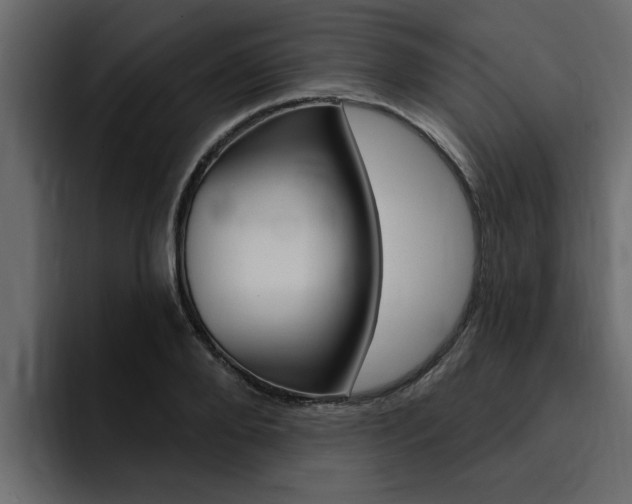 X0000095550888200712140933