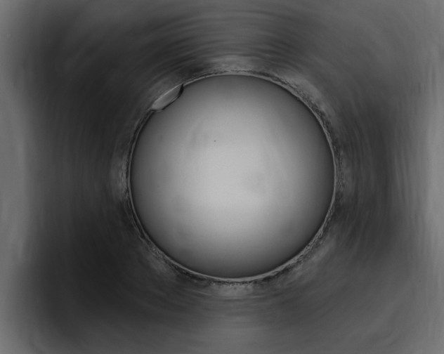 X0000095550889200712140933