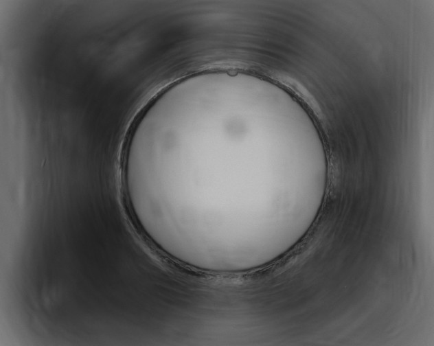 X0000095550890200712140933