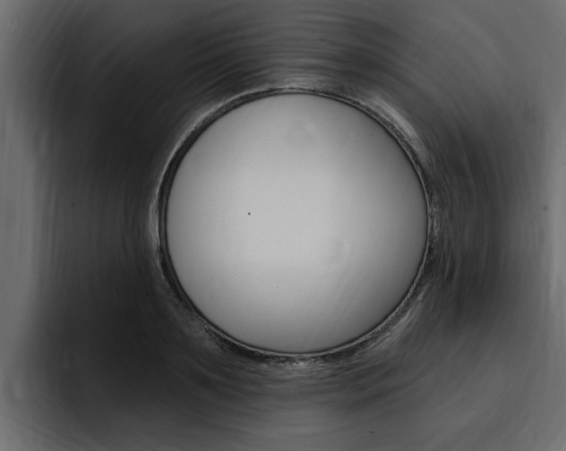 X0000095550891200712140933