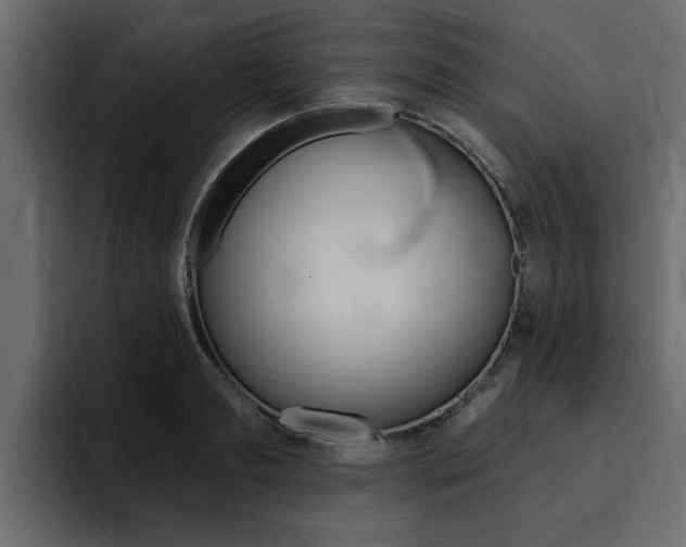 X0000095550893200712140933