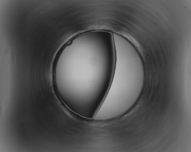 X0000095550894200712140933