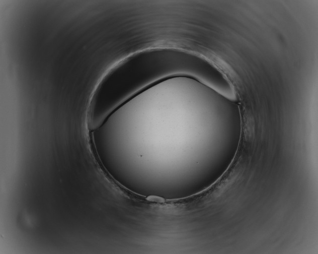 X0000095550896200712140933