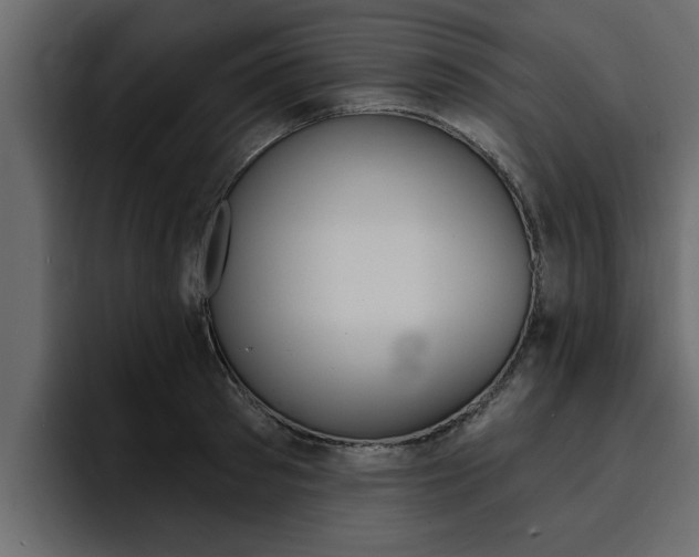 X0000095550897200712140933