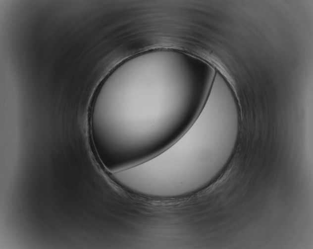 X0000095550898200712140933