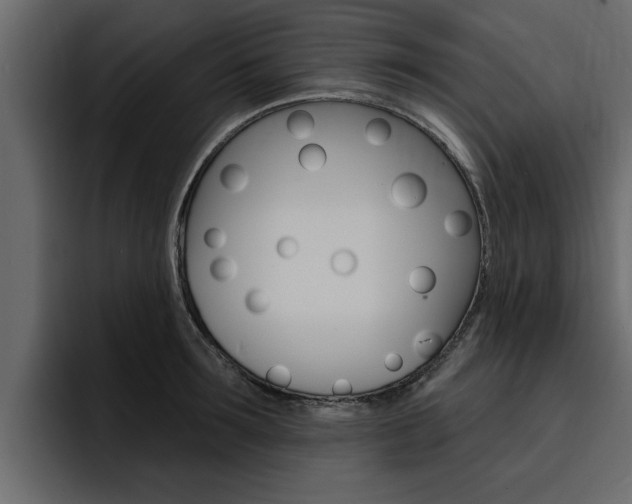 X0000095550899200712140933