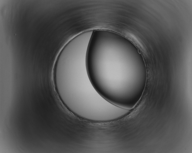 X0000095550900200712140933