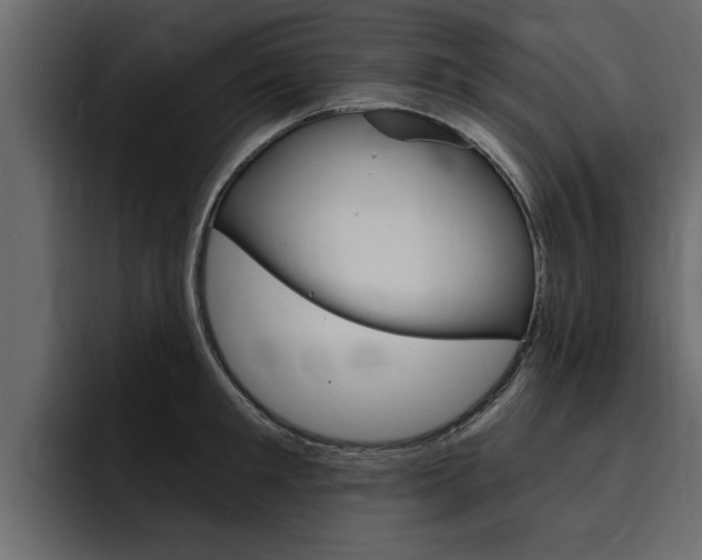 X0000095550901200712140933