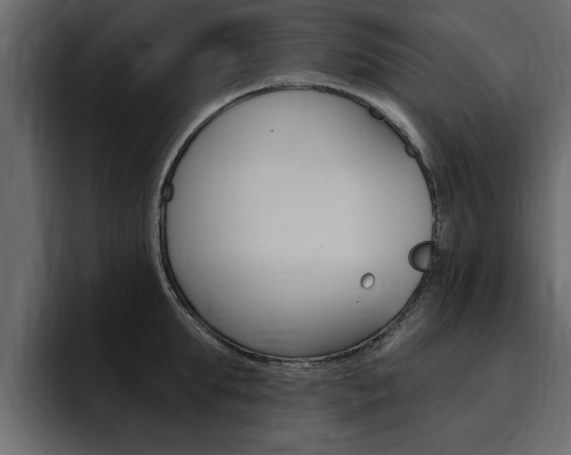 X0000095550903200712140933