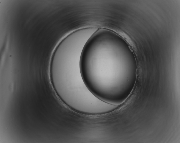 X0000095550904200712140933