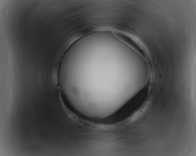 X0000095550905200712140933